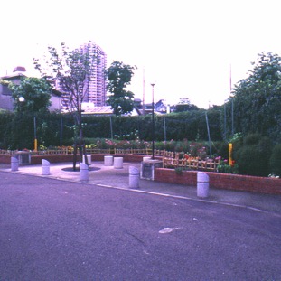 現場２.jpg